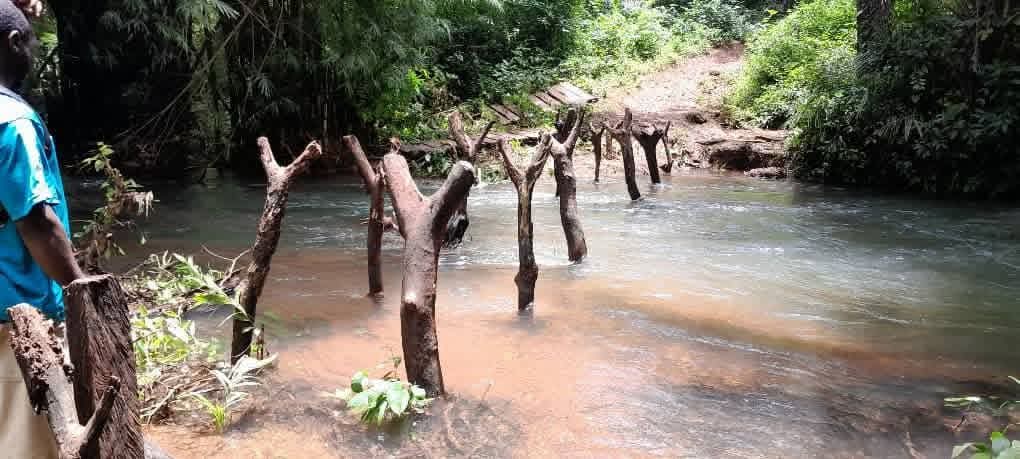 Boké : les eaux emportent le pont de fortune de Koulifanya