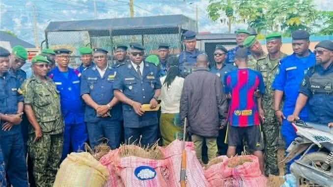 Lola : 223 kg de chanvre indien saisis, trois personnes interpellées