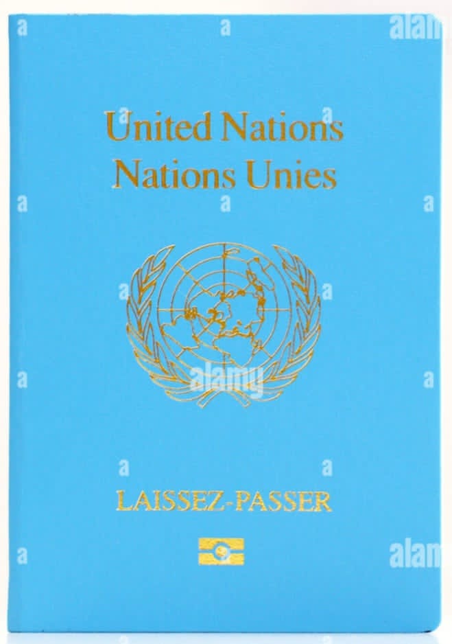 Passeport bleu de l’ONU : qui peut l’obtenir et à quoi sert-il ?